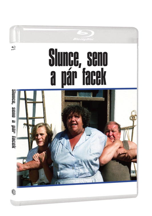 Blu-ray: Slunce, seno a pár facek